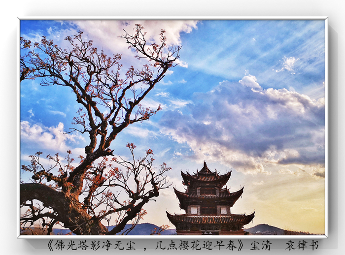 025《佛光塔影凈無(wú)塵 ，幾點(diǎn)櫻花迎早春》.jpg
